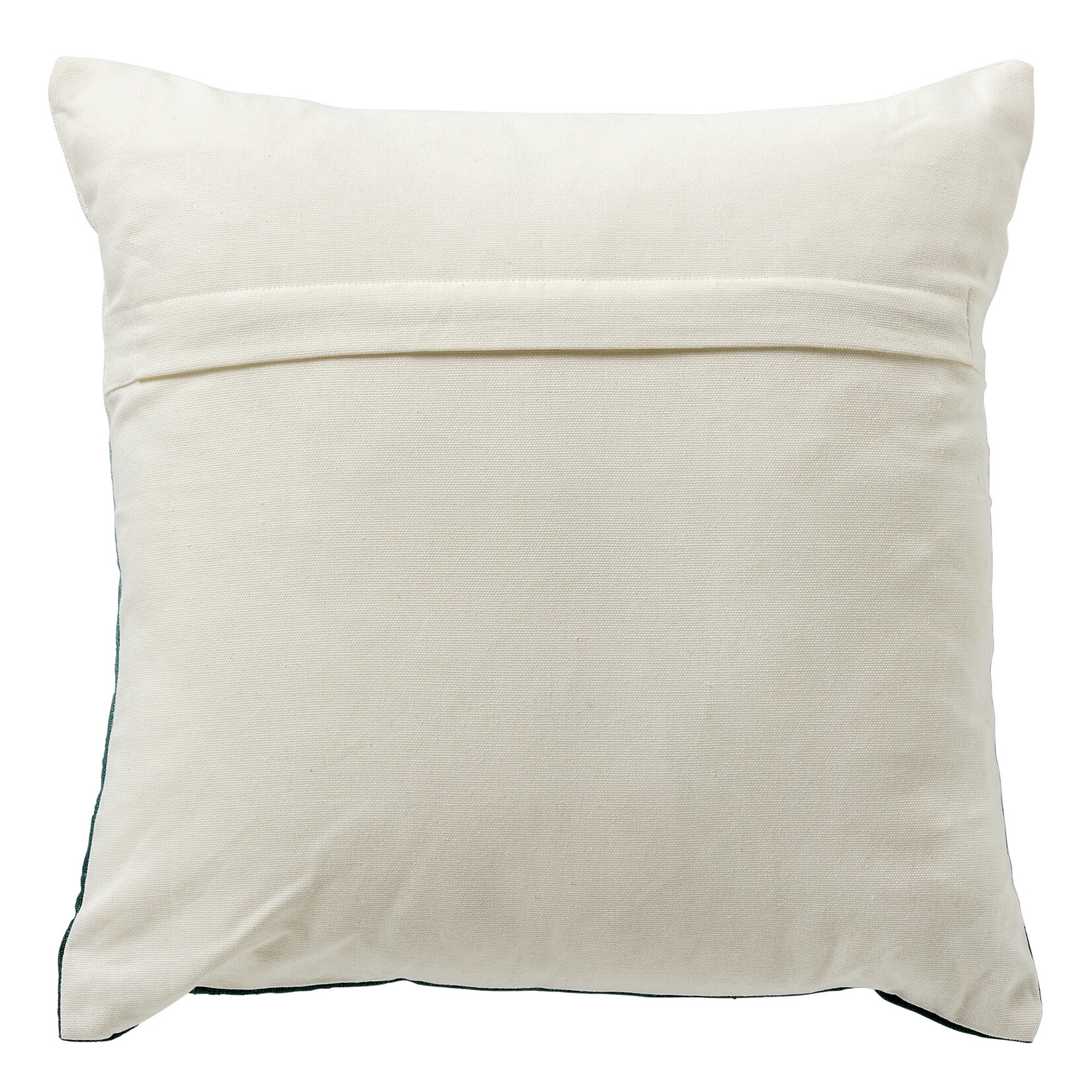 Coussin Robin Sauge Dégradé 45*45