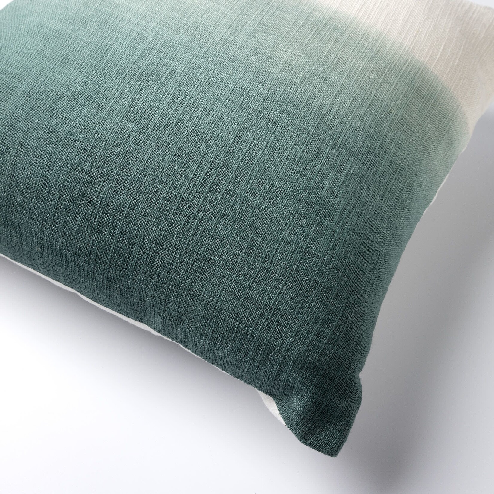 Coussin Robin Sauge Dégradé 45*45