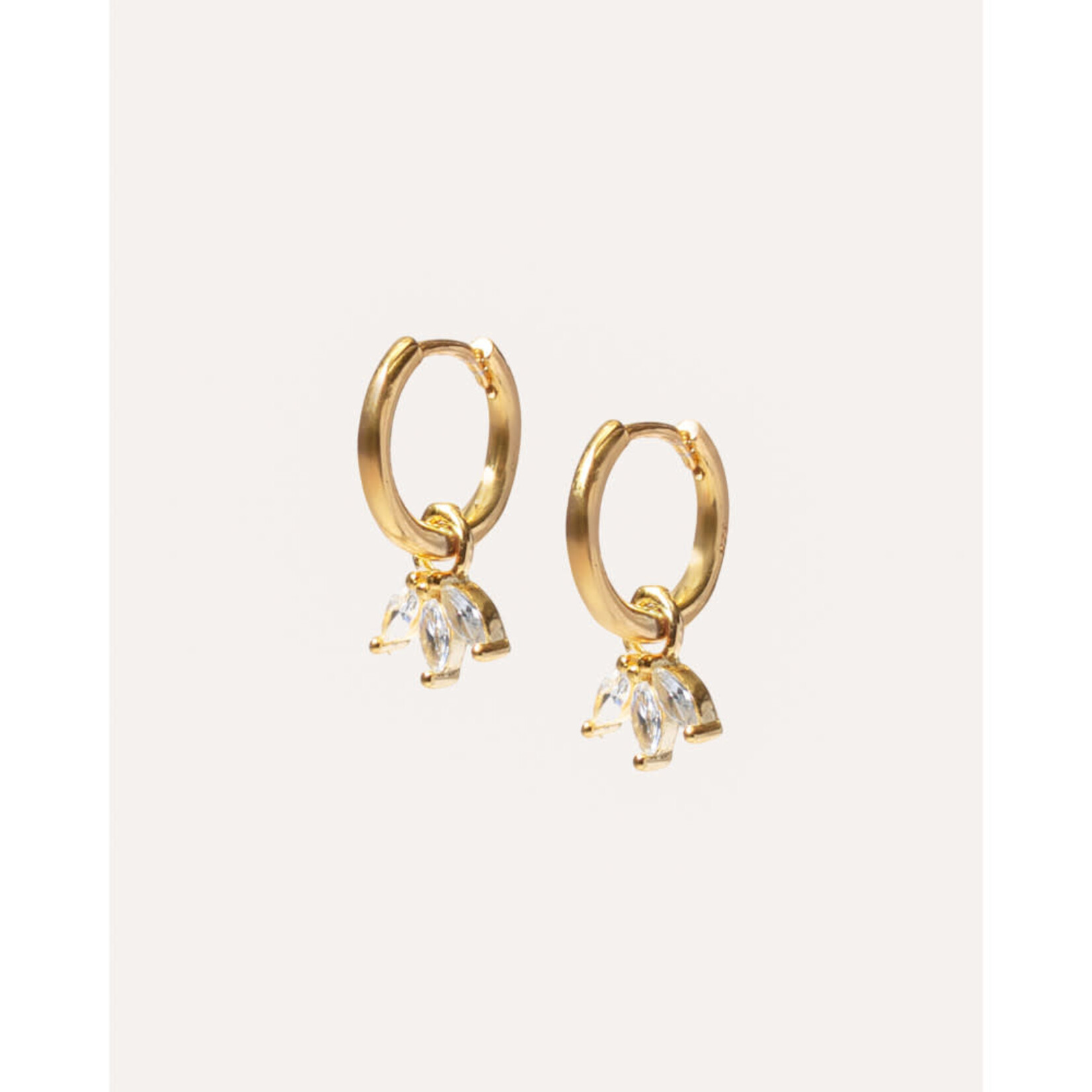 Tamcode BO Coralia à la pièce