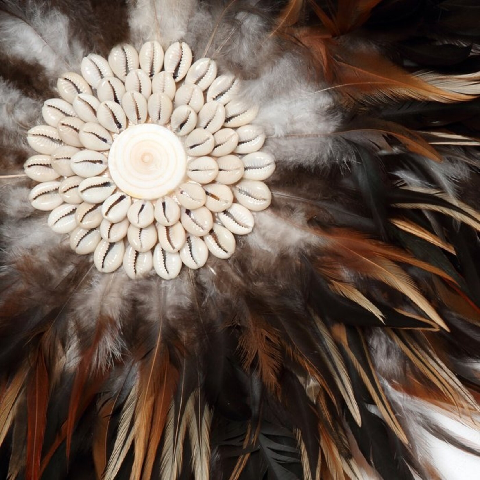 Coastal Juju Black Brown S