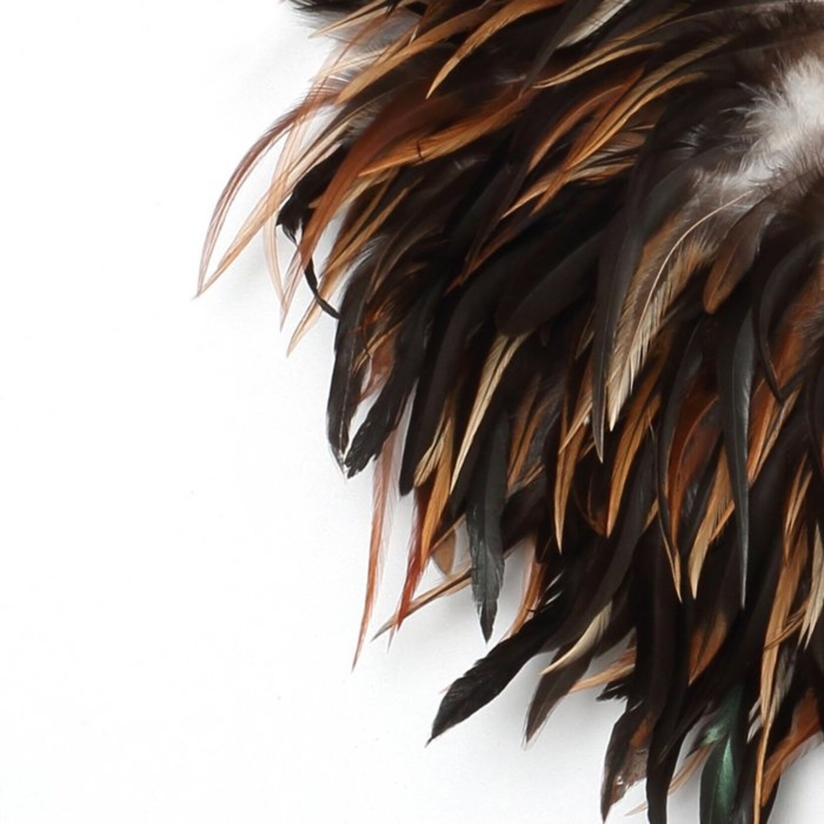 Coastal Juju Black Brown S