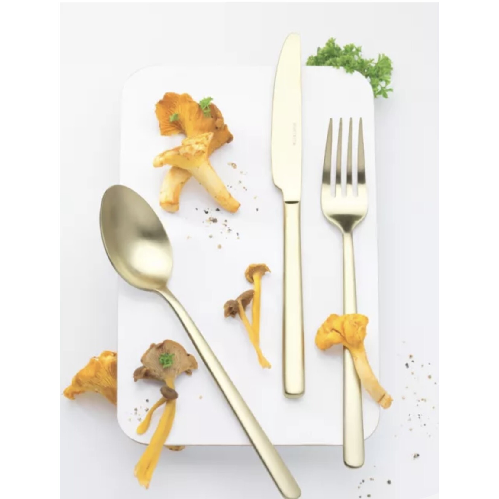 Eternum Nardo Champagne Mat Ménagère Couverts 16 pièces