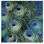 Serviettes en Papier Peacock Feathers