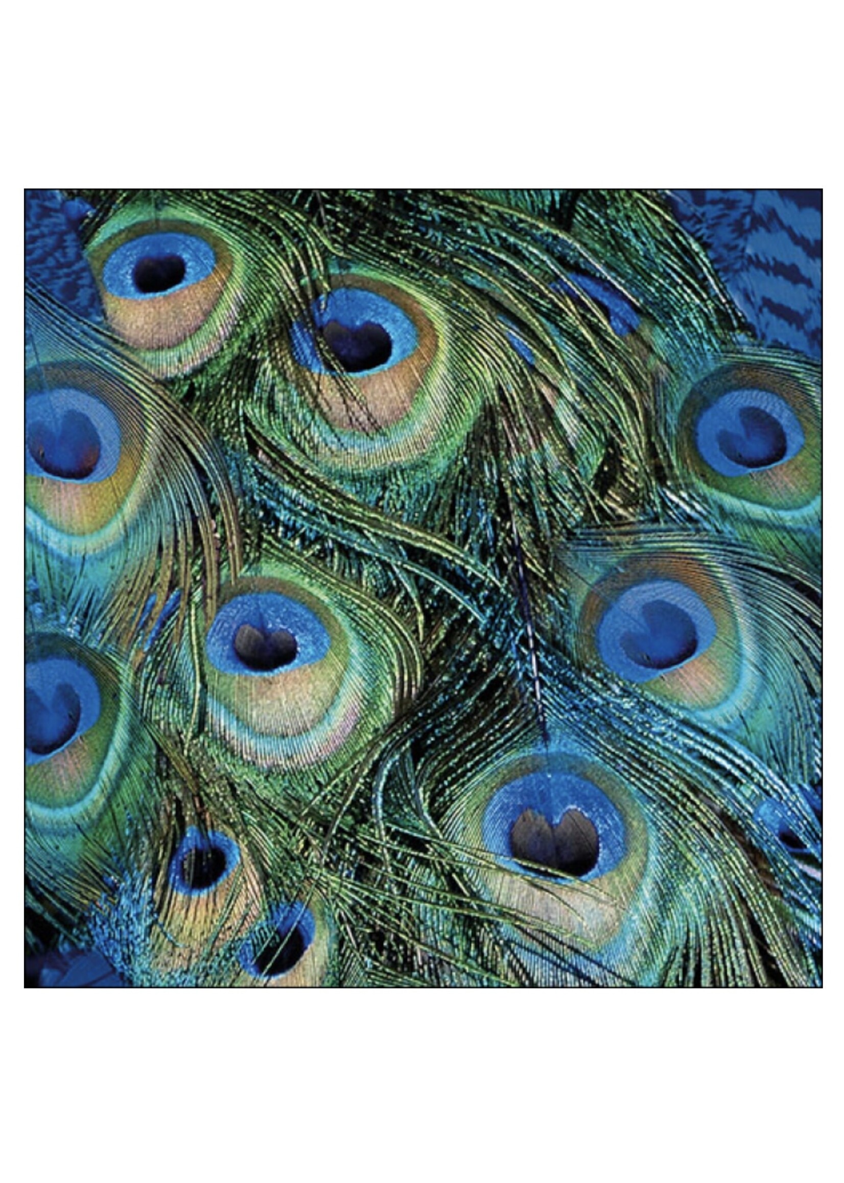 Serviettes en Papier Peacock Feathers