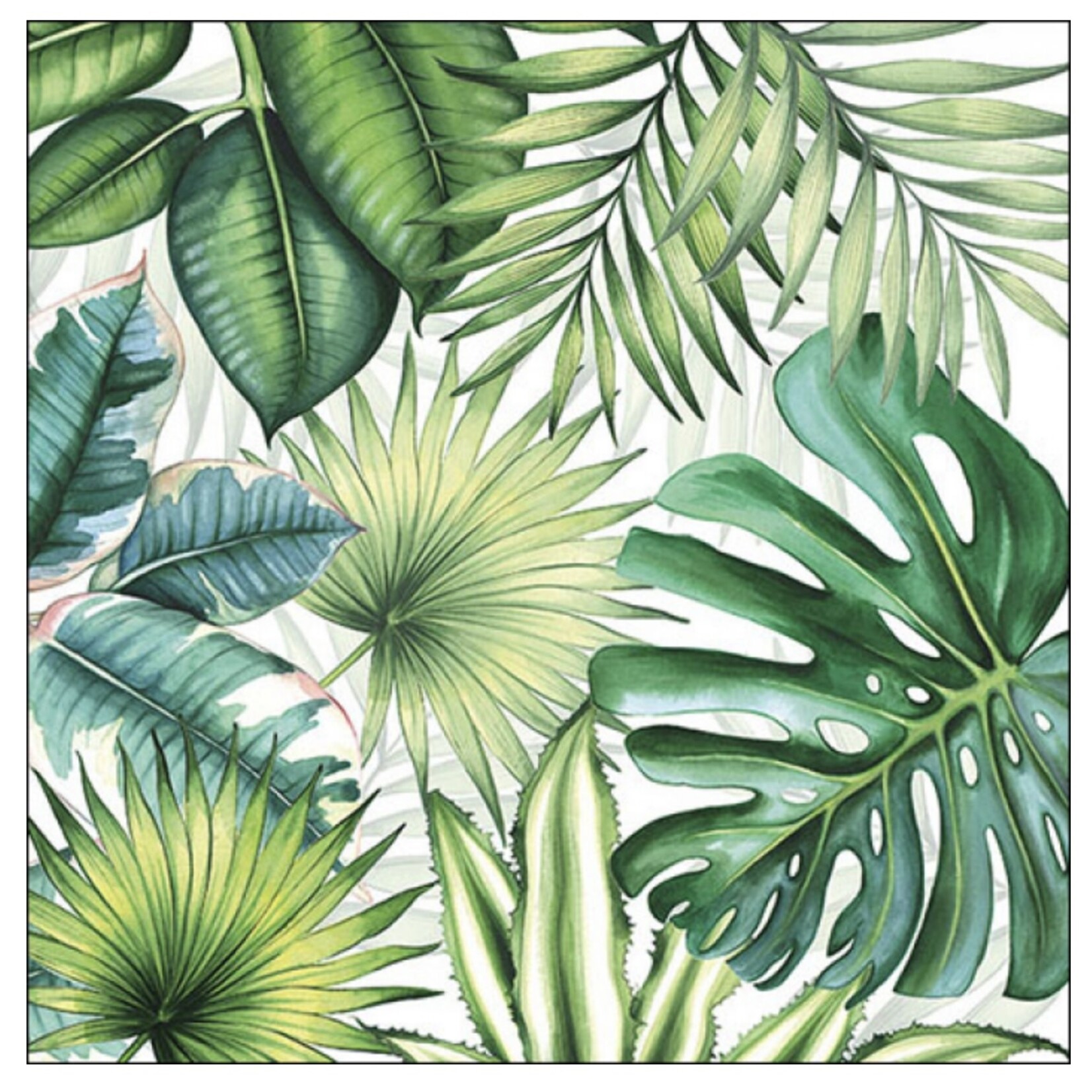 Serviettes en Papier Tropical Leaves White