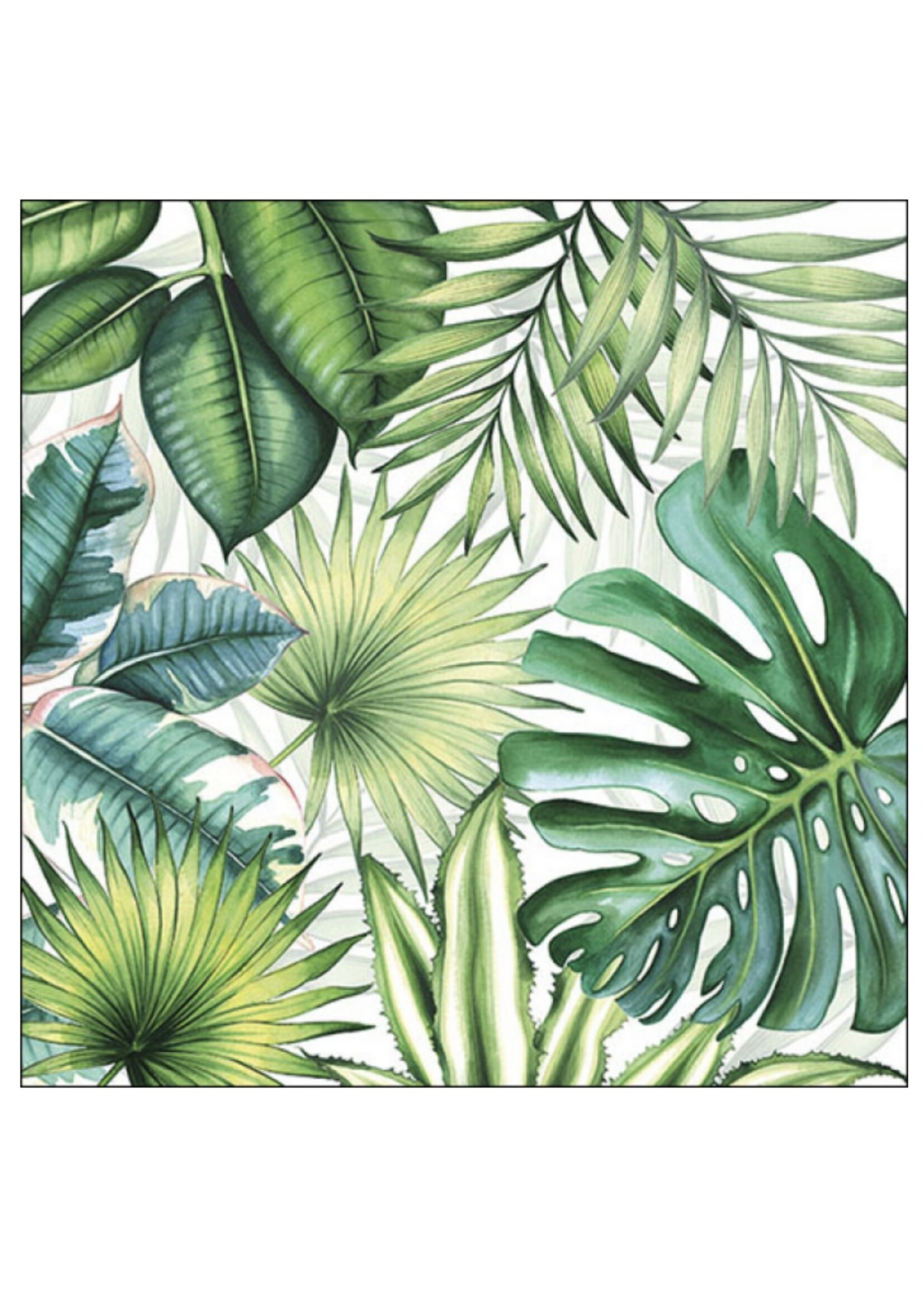 Serviettes en Papier Tropical Leaves White