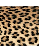 Serviettes en Papier Leopard Couture 33*33