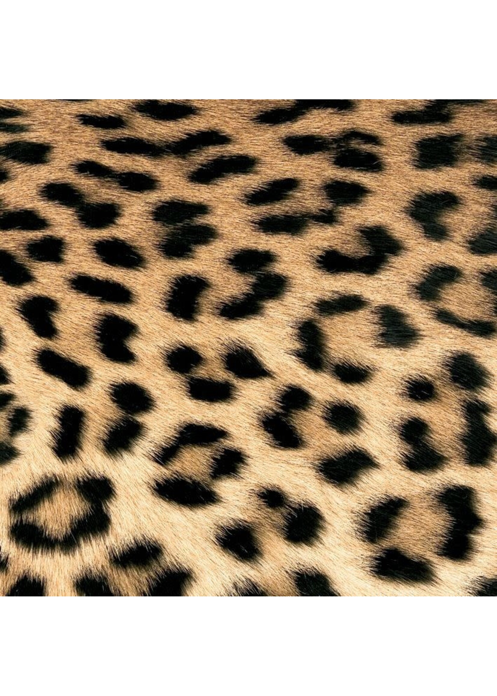 Serviettes en Papier Leopard Couture 33*33
