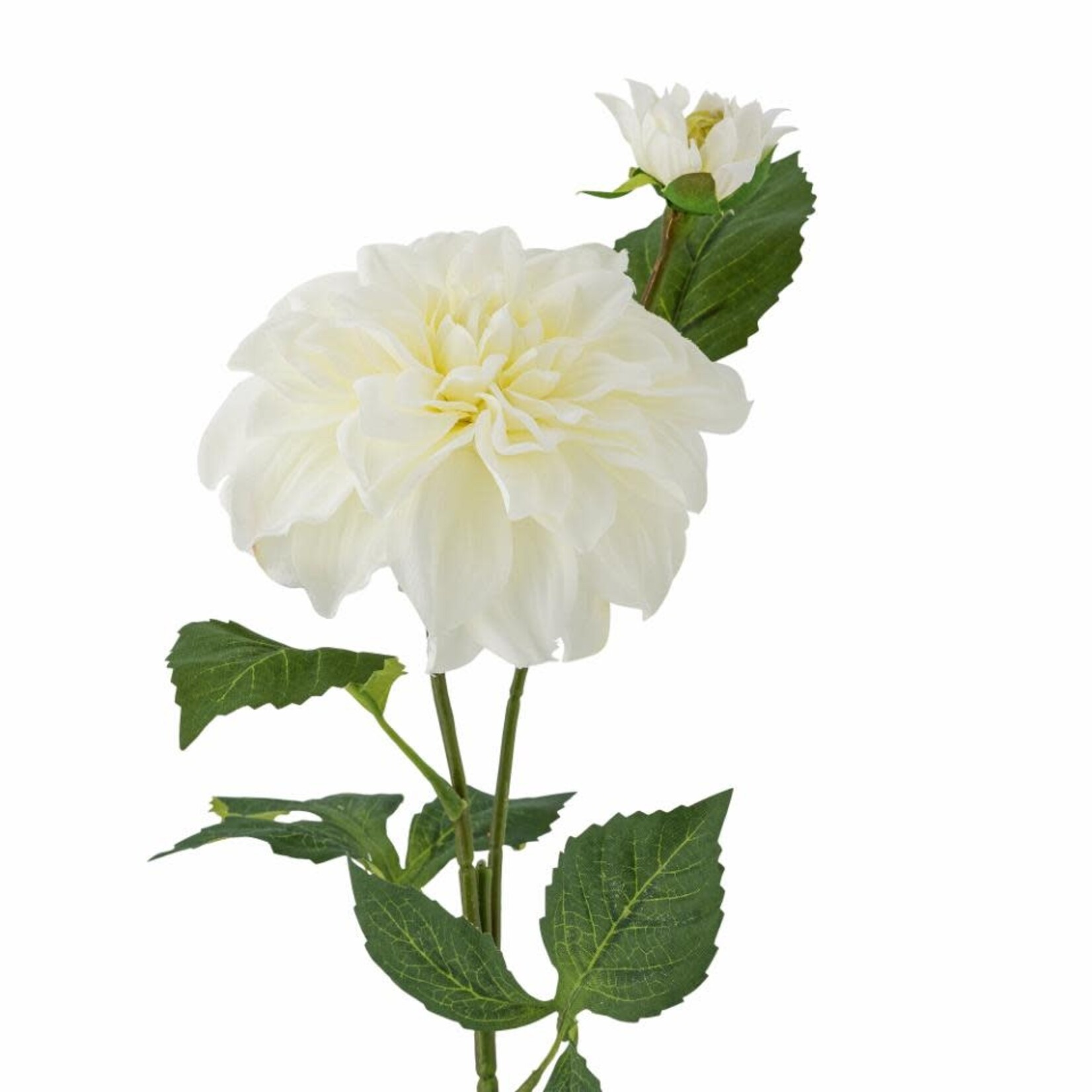 Bloomingville Dahlia Blanc