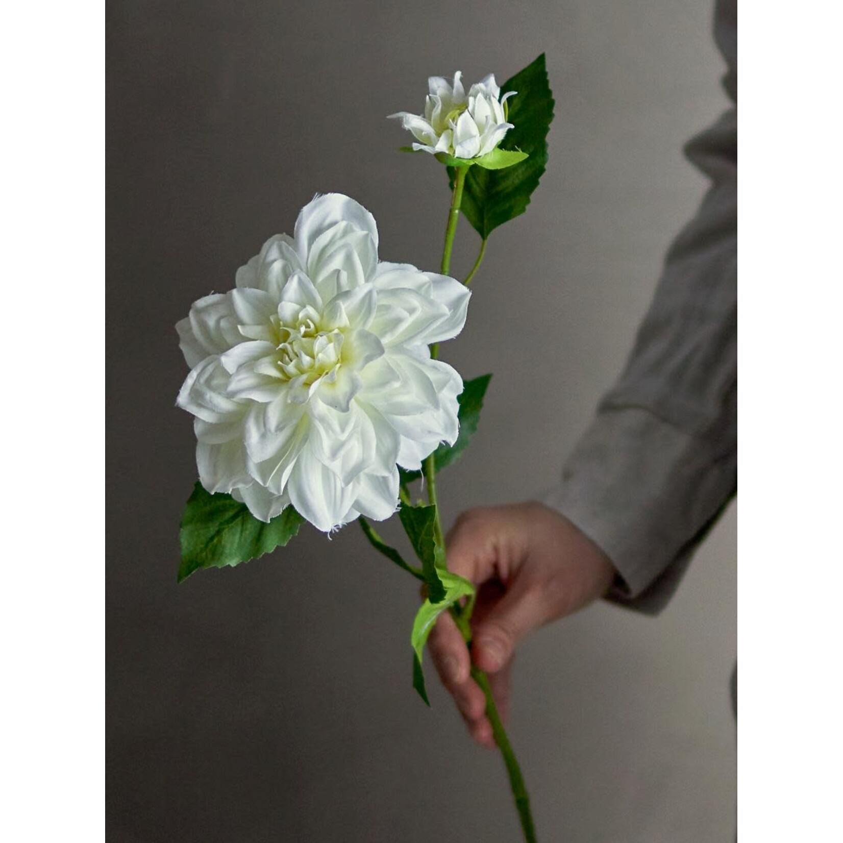 Bloomingville Dahlia Blanc