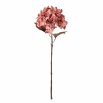 Bloomingville Hydrangea Tige Rose