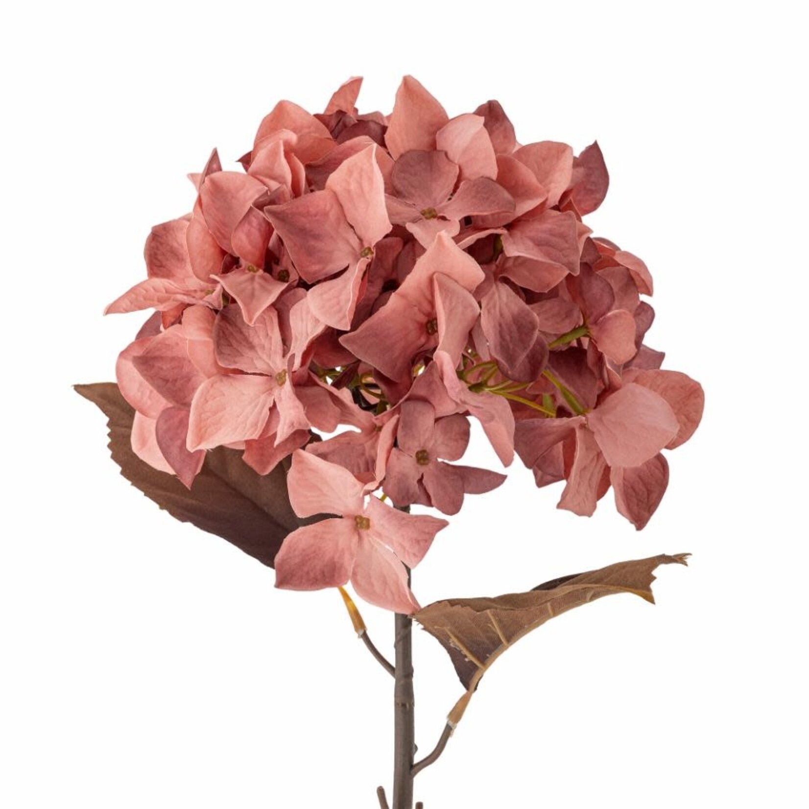 Bloomingville Hydrangea Tige Rose