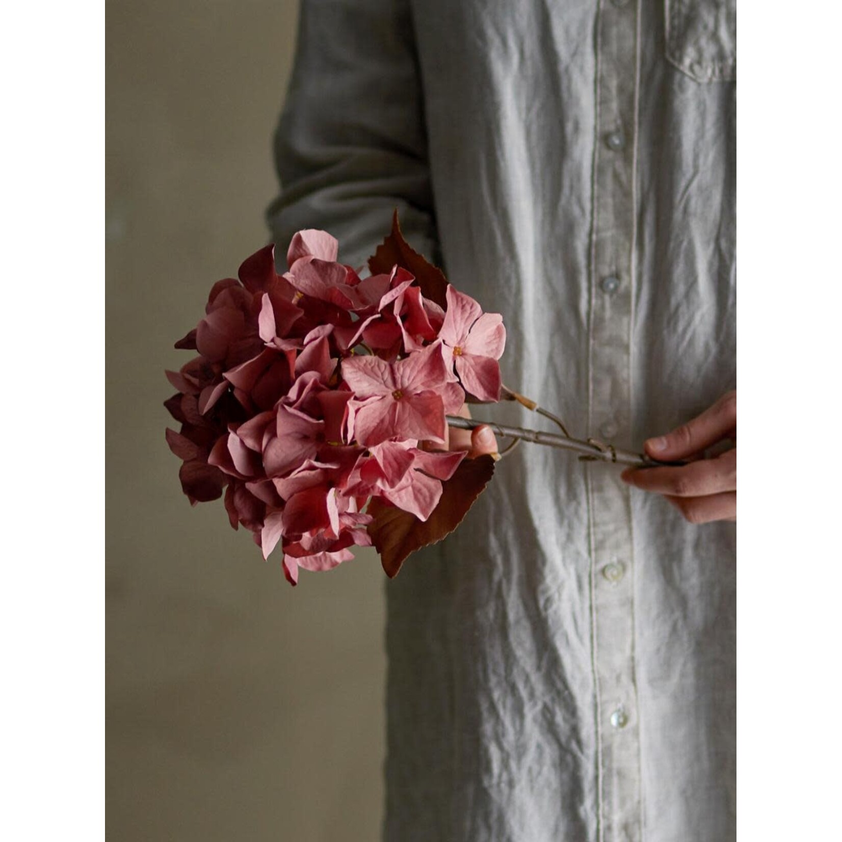 Bloomingville Hydrangea Tige Rose