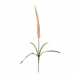 Bloomingville Foxtail Tige Rose
