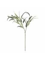 Bloomingville Eucalyptus Tige Verte