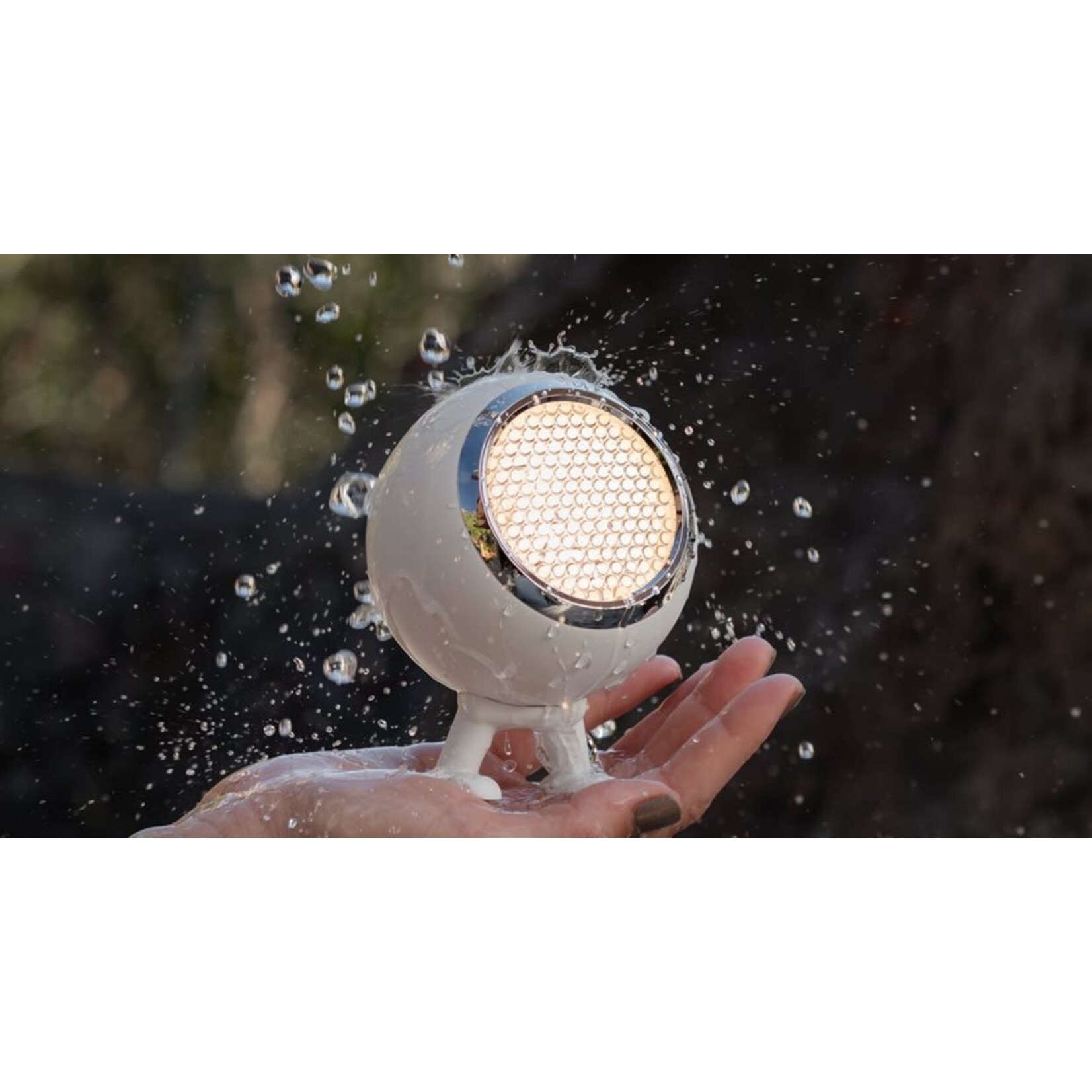 Mr Wattson Norbitt Cotton White