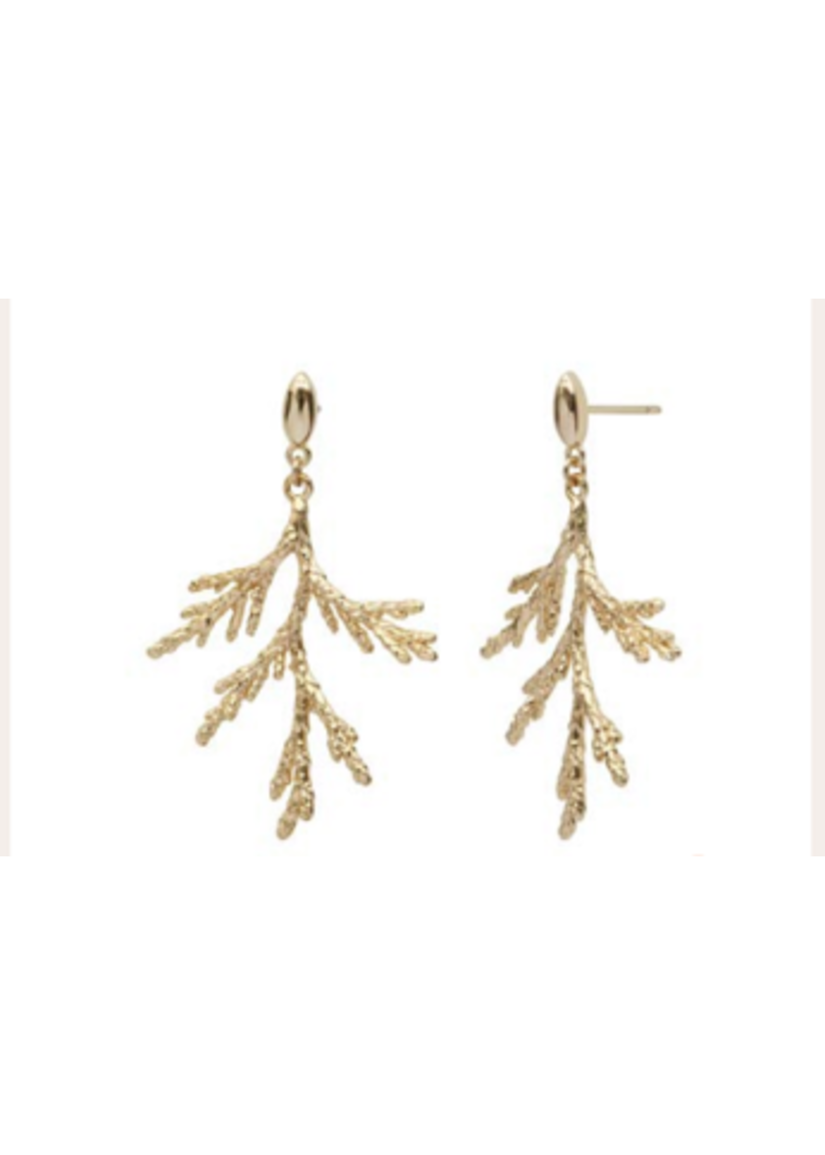By 164 Boucles d'Oreilles Branche à la paire
