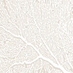 Serviettes en Papier Coralie 33*33