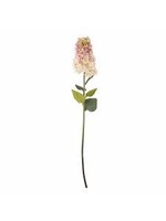 Bloomingville Hydrangea