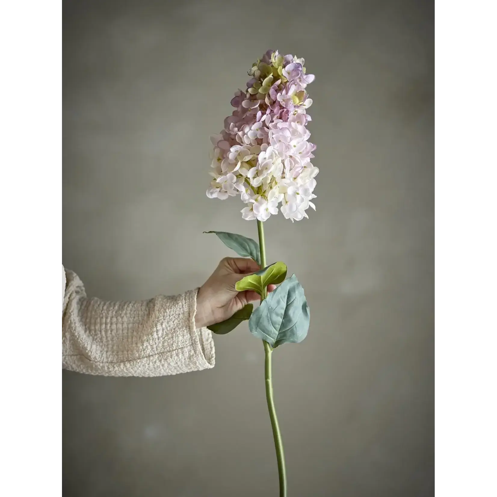 Bloomingville Hydrangea