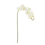 Bloomingville Branche Orchidée