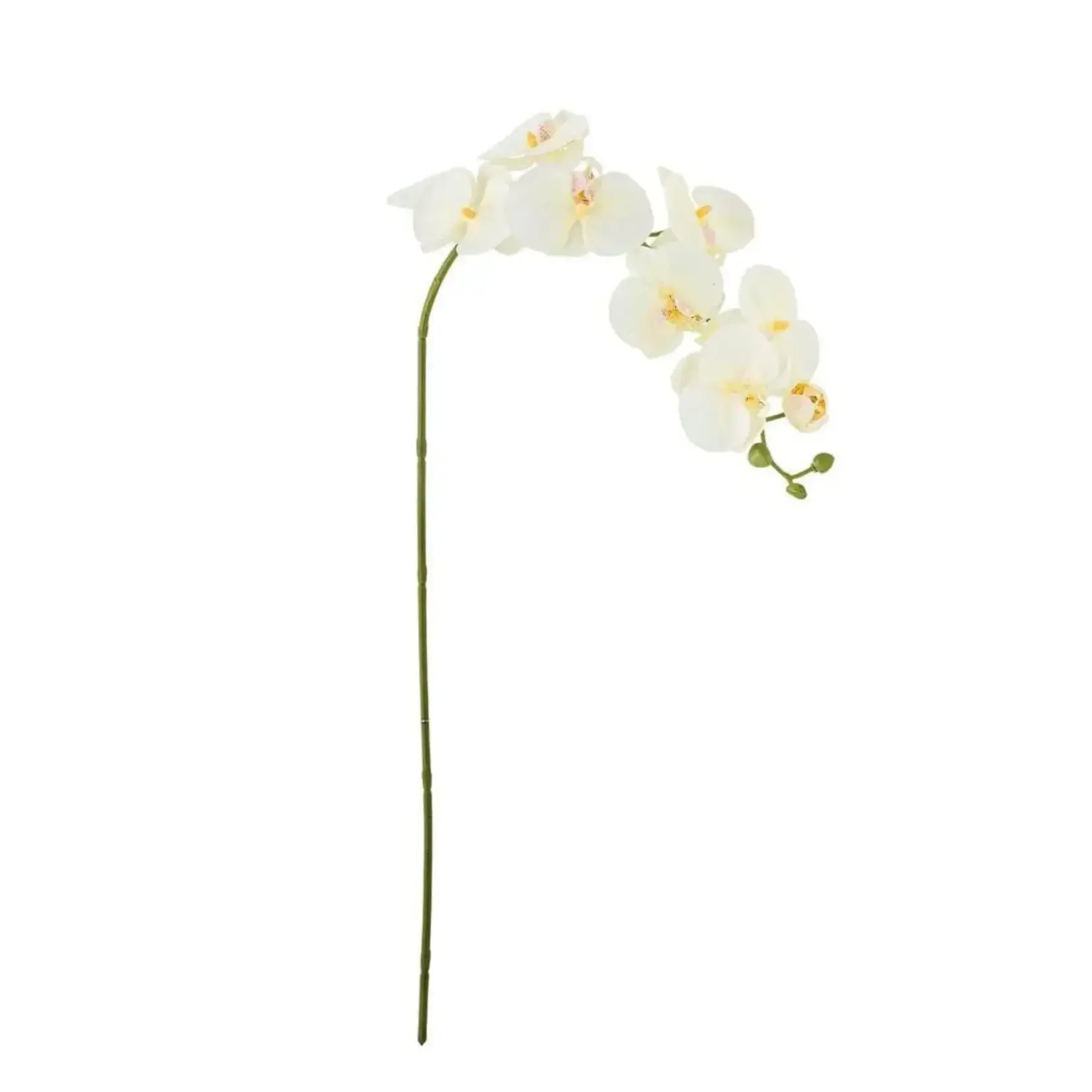 Bloomingville Branche Orchidée