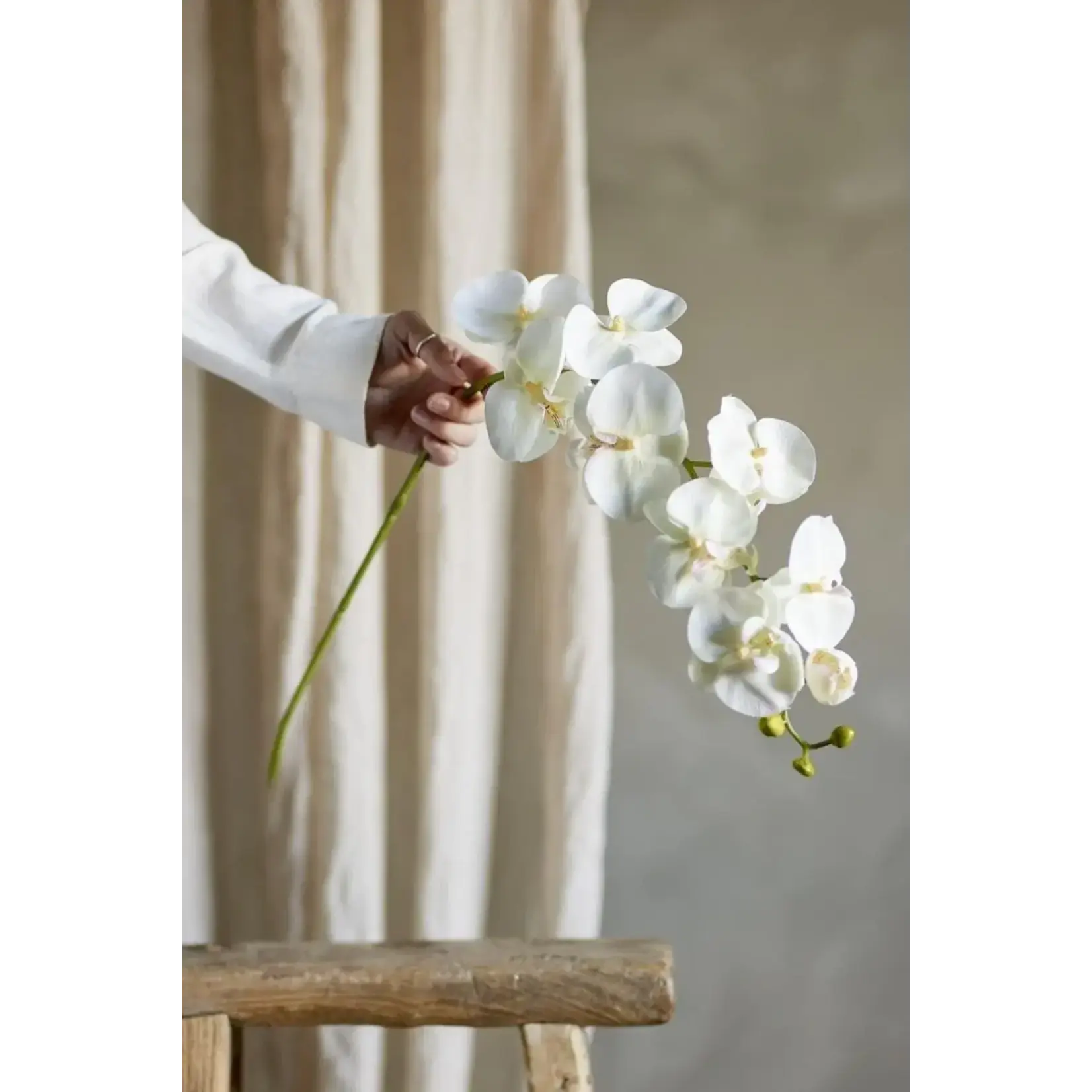 Bloomingville Branche Orchidée