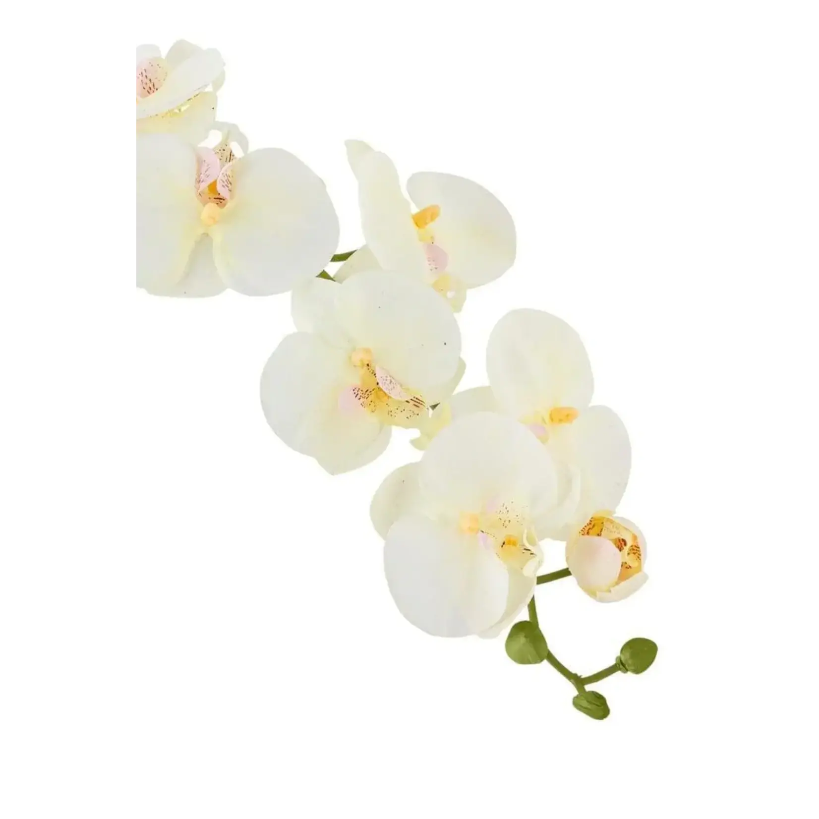 Bloomingville Branche Orchidée