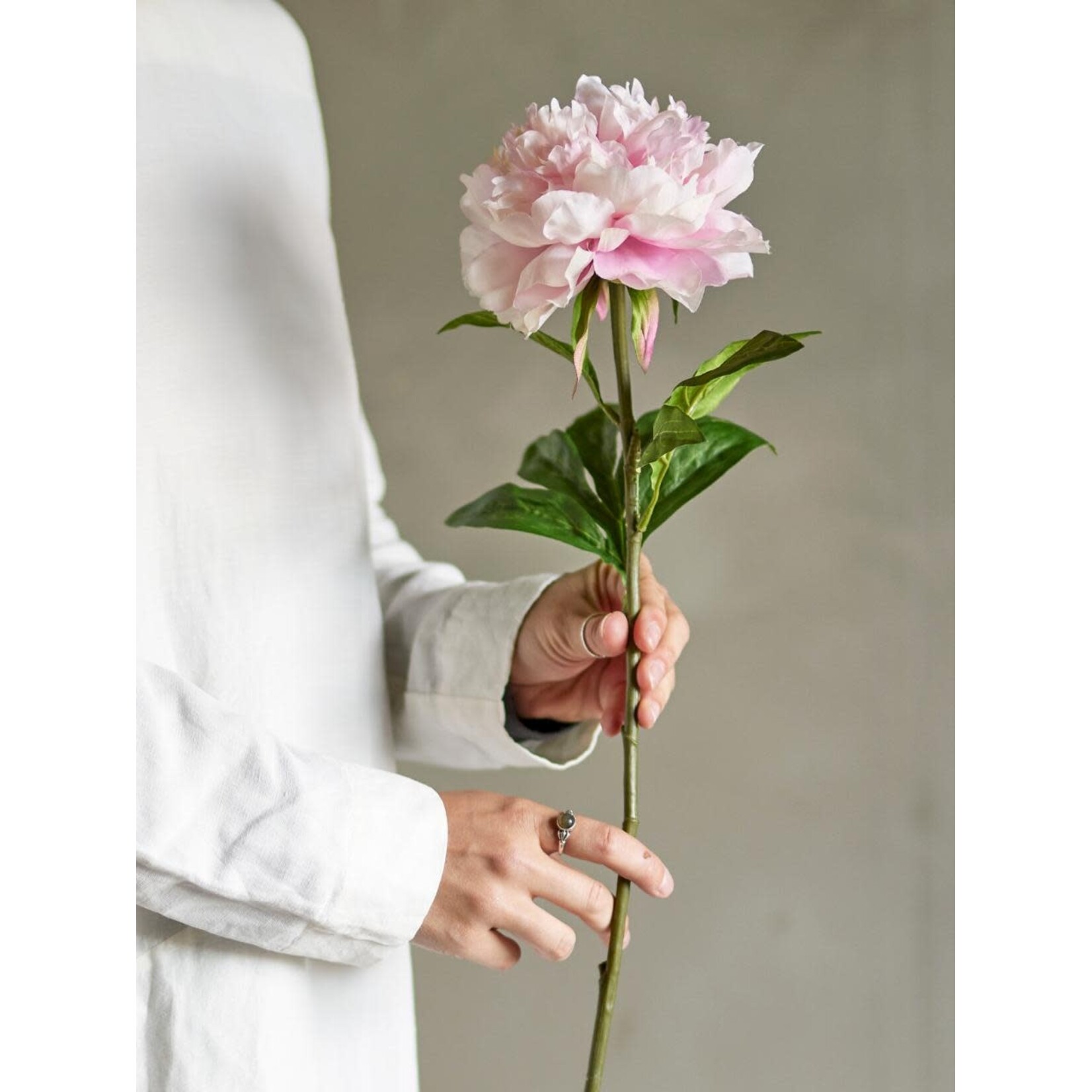 Bloomingville Pivoine