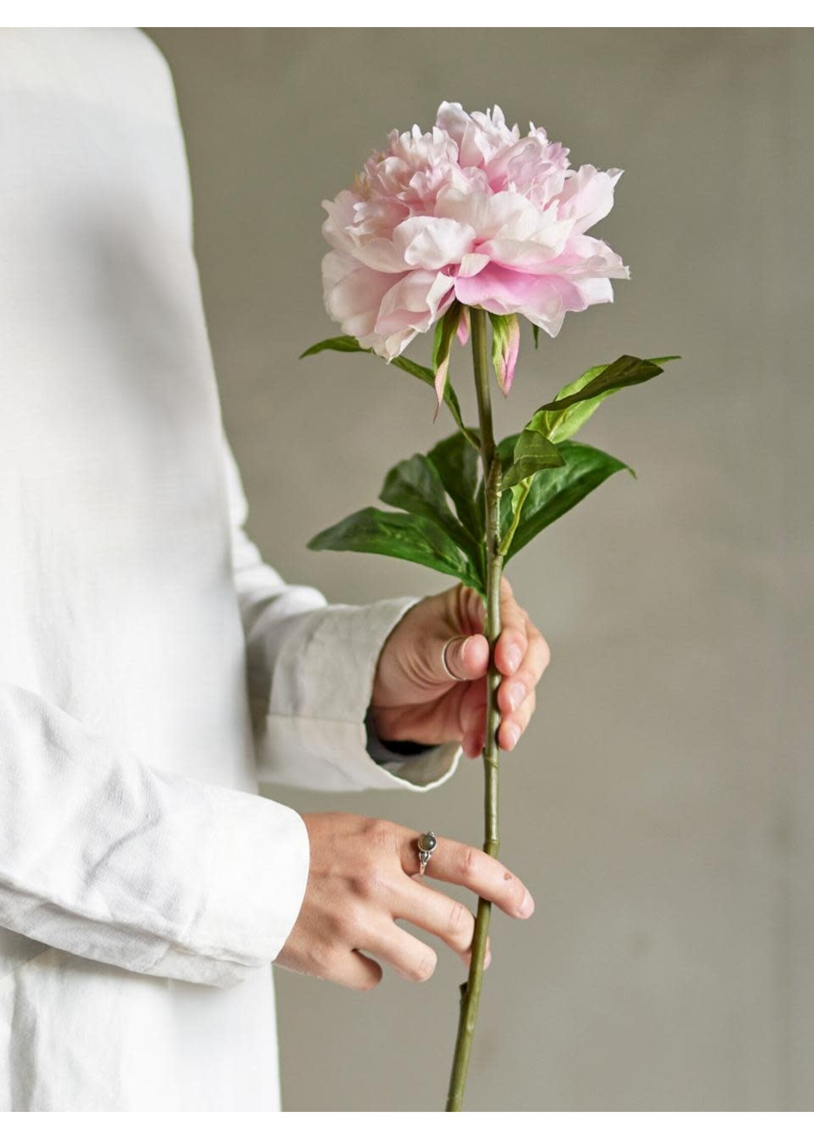 Bloomingville Pivoine