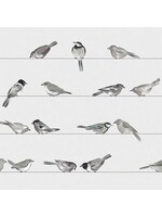 Serviettes en Papier Birds 25*25