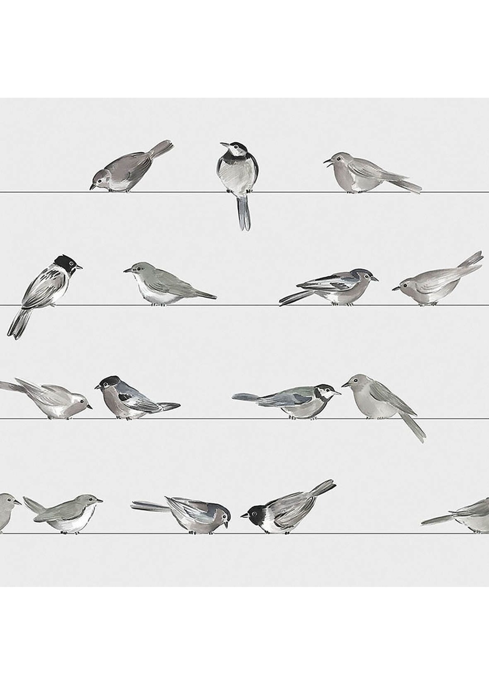 Serviettes en Papier Birds 25*25