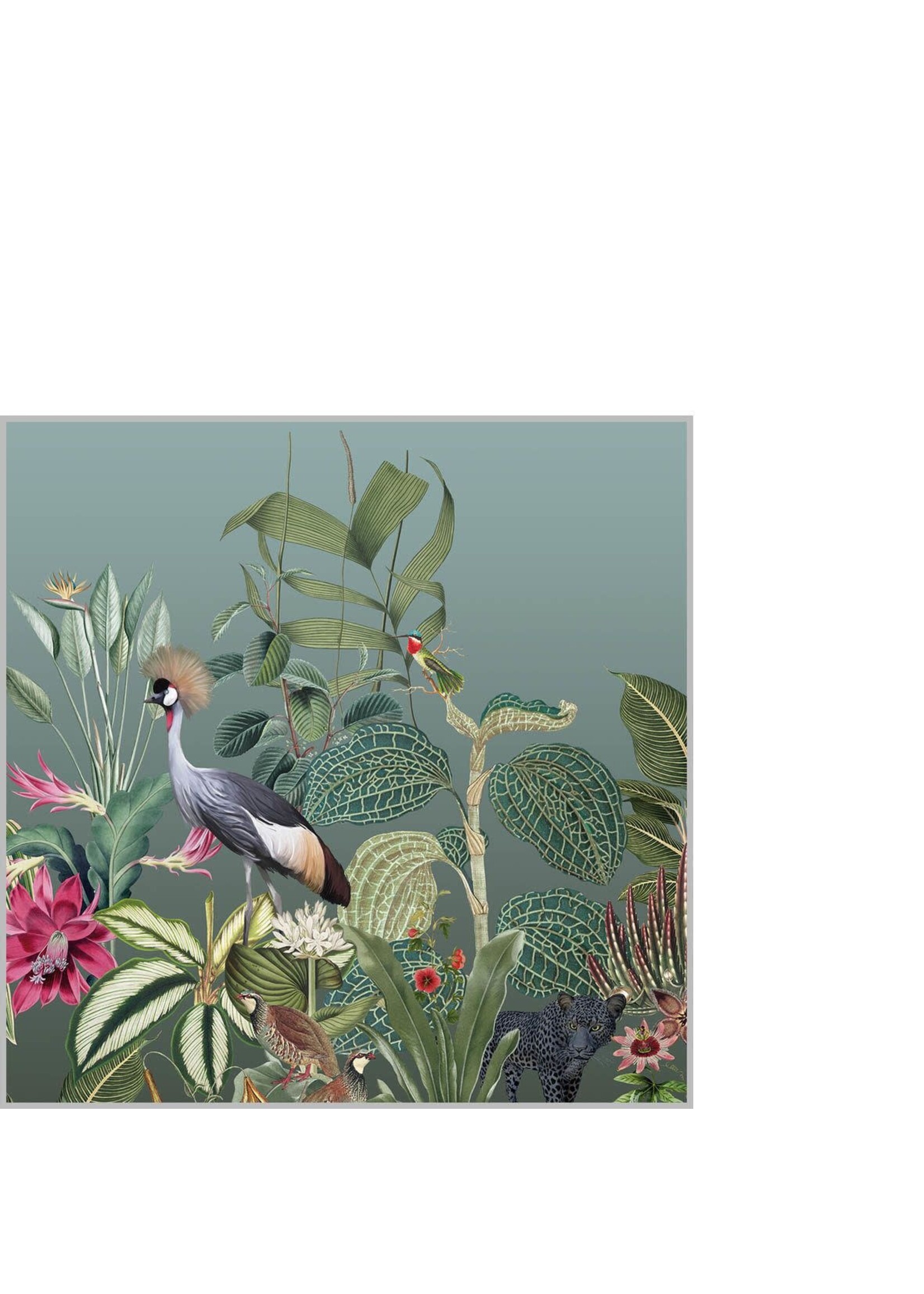 Serviettes en Papier Amazonas 25*25