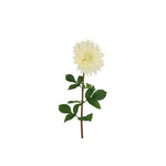 Décostar Dahlia Blanc XXL