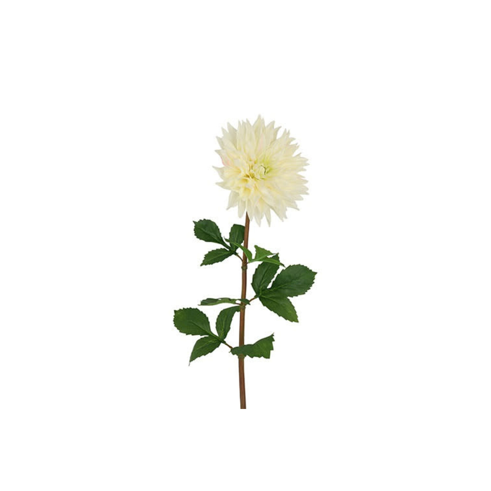 Décostar Dahlia Blanc XXL