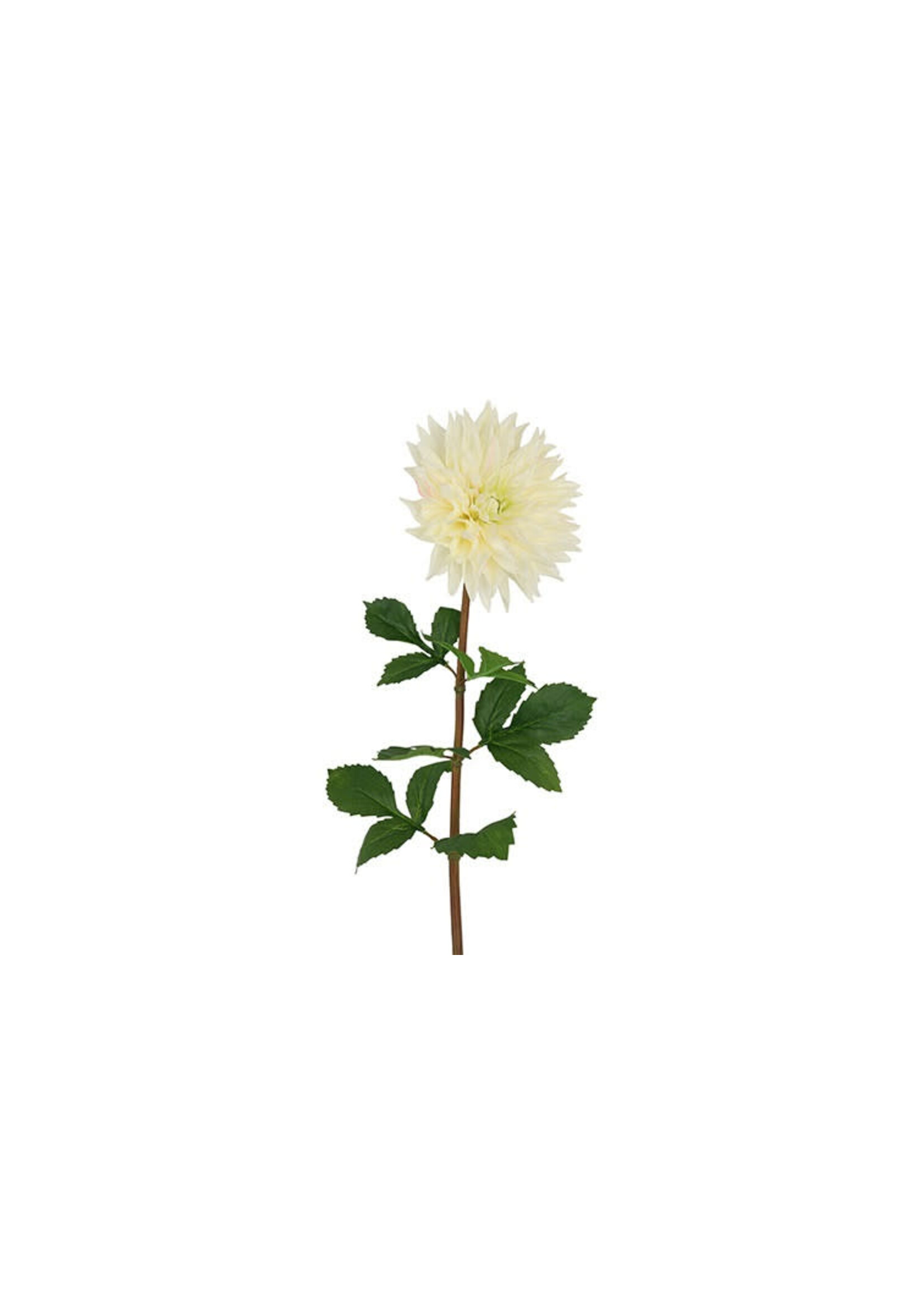 Décostar Dahlia Blanc XXL