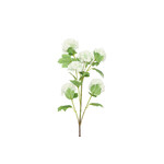 Décostar Opulus Viburnum Blanc