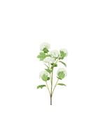 Décostar Opulus Viburnum Blanc