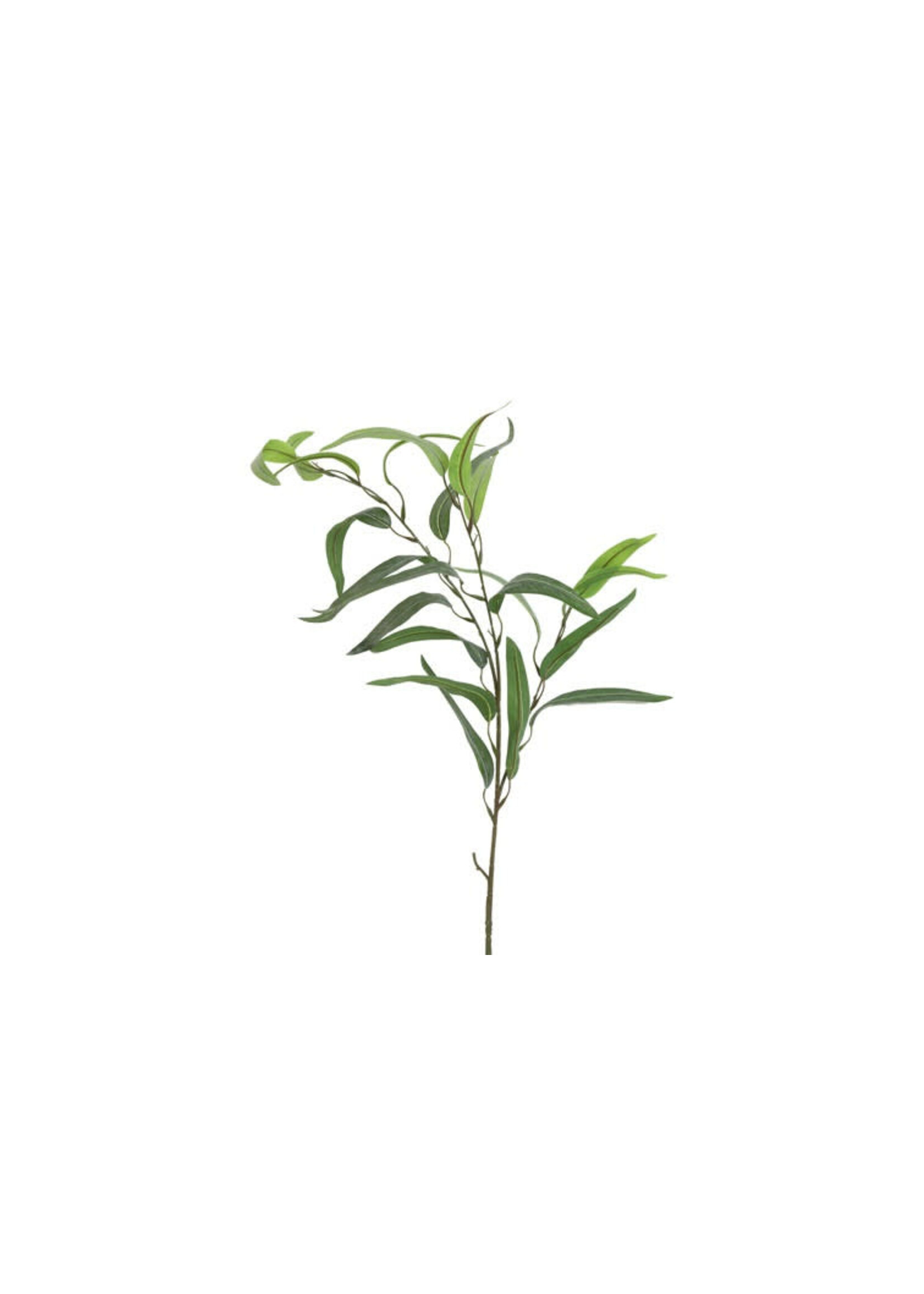 Décostar Eucalyptus Vert