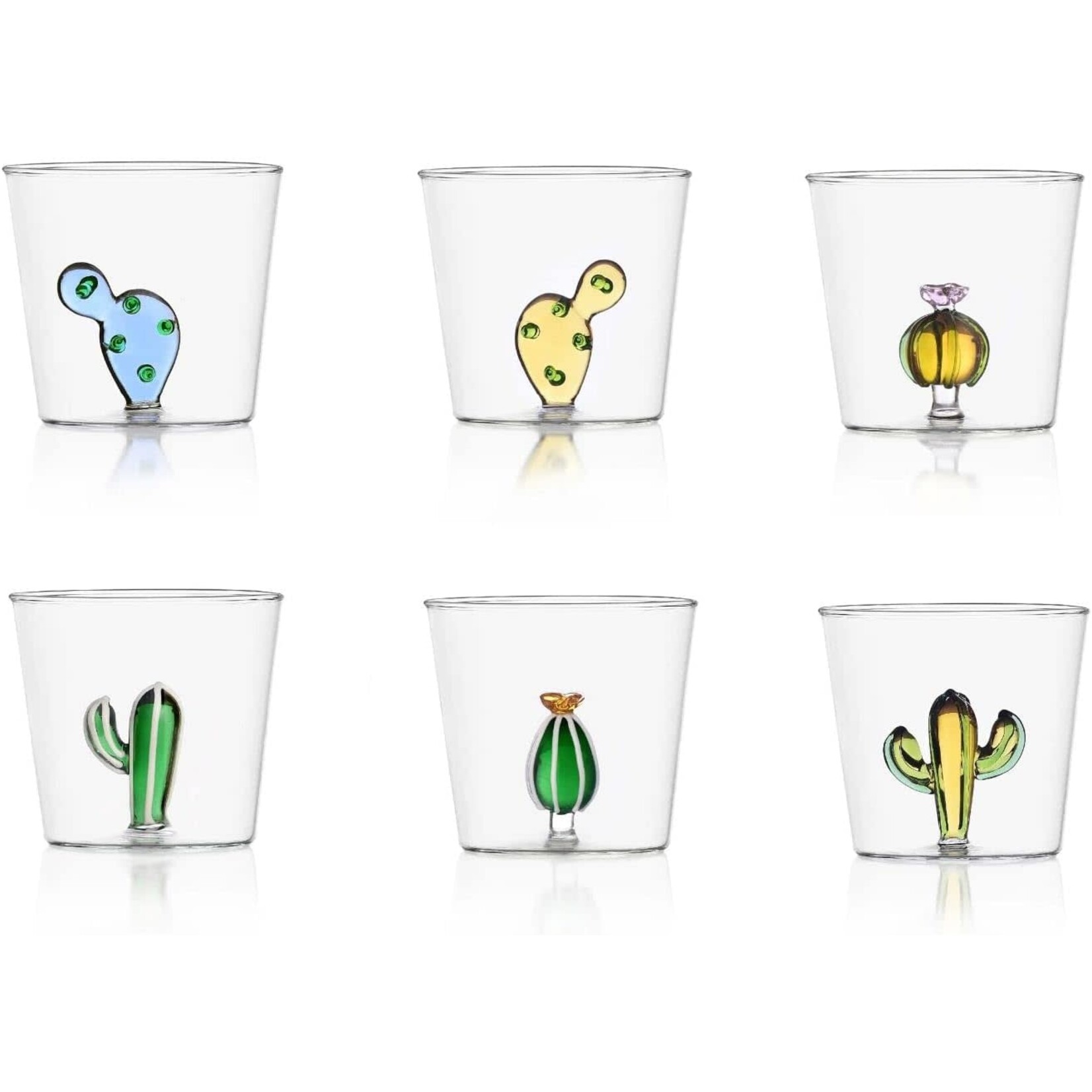 Ichendorf Milano Desert Plant Cactus Set de 6 Tumblers Gobelets assortis
