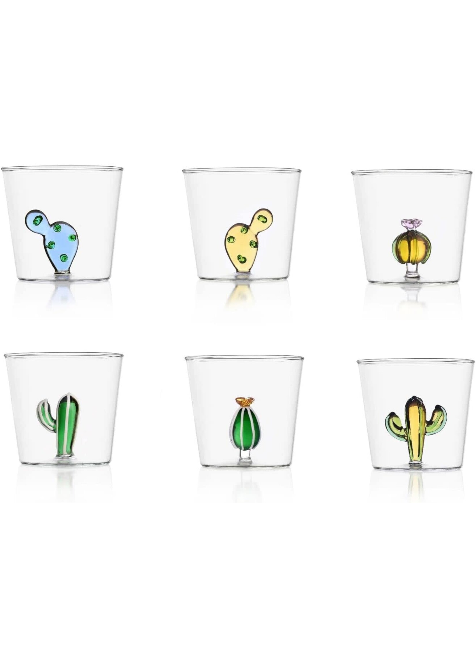 Ichendorf Milano Desert Plant Cactus Set de 6 Tumblers Gobelets assortis