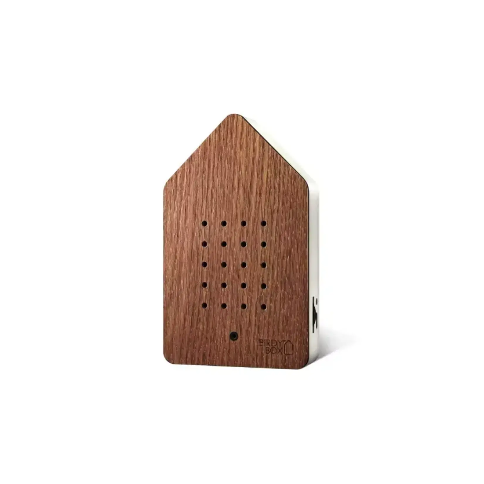 Relaxound Birdy Box Steamed Oak