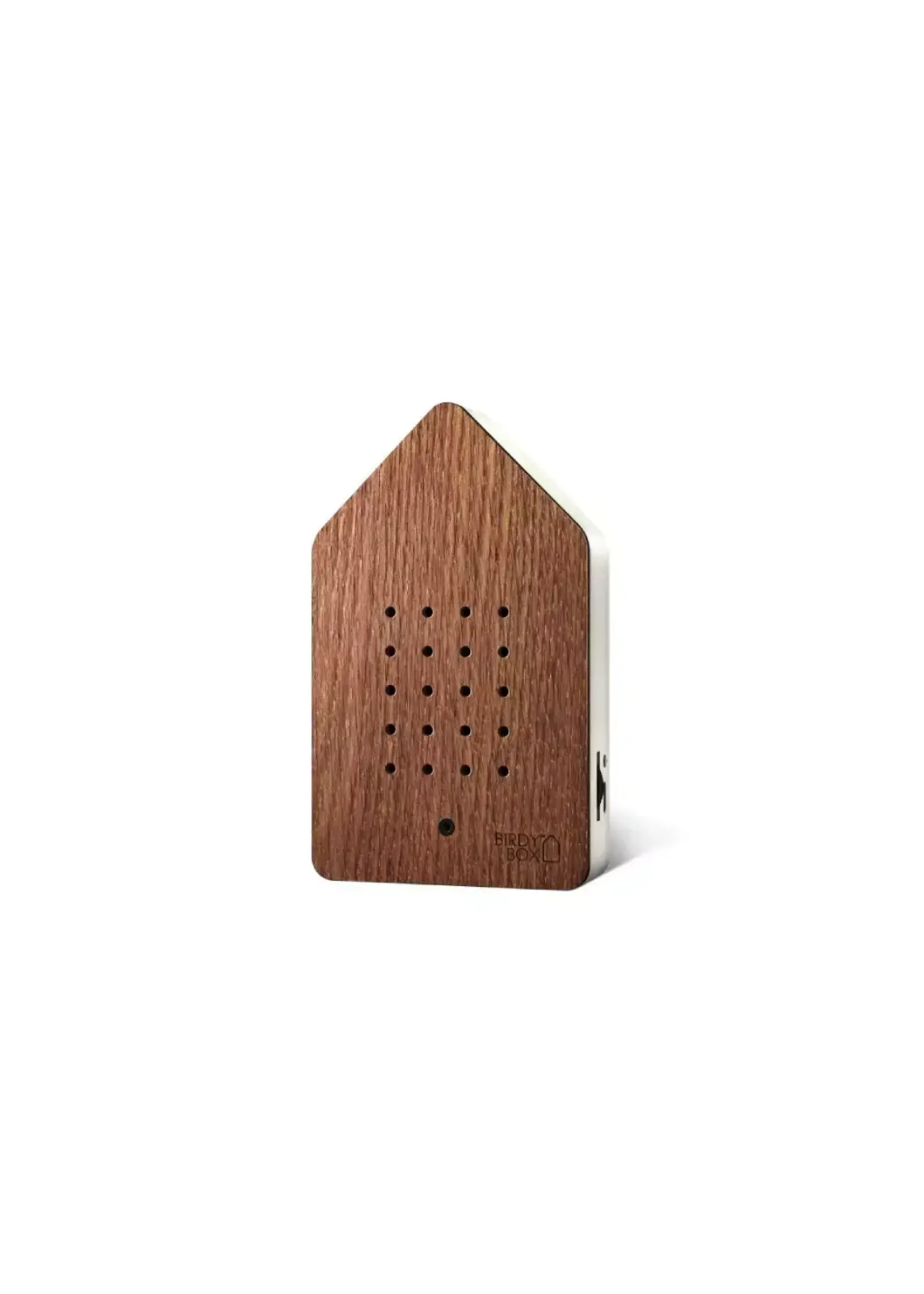 Relaxound Birdy Box Steamed Oak