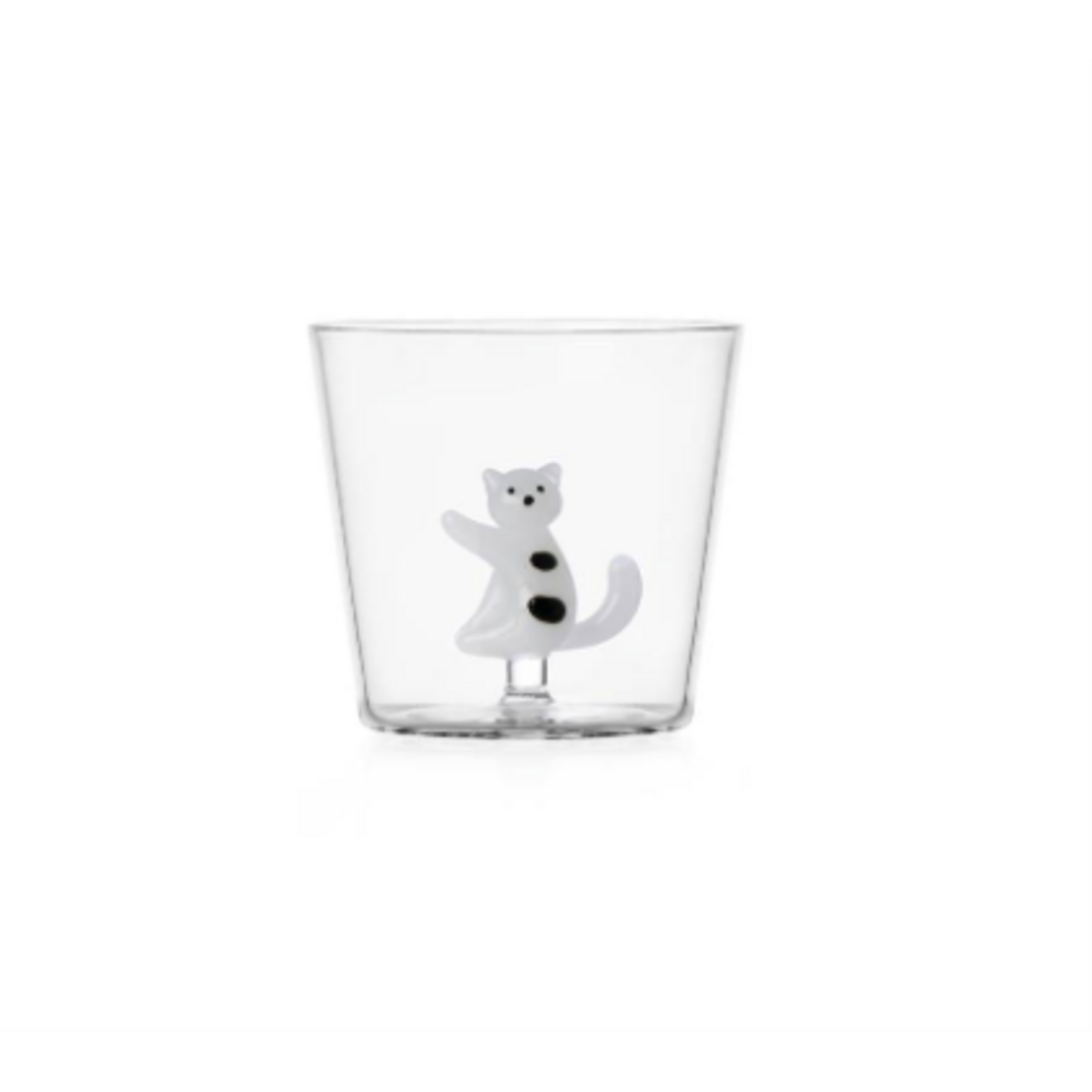 Ichendorf Milano Tabby Cat Chat Blanc Taches Noires