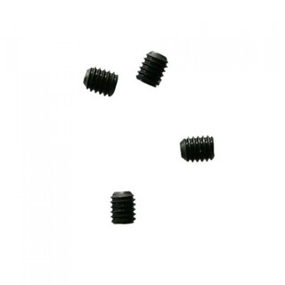 Inbus schroef RVS Grips