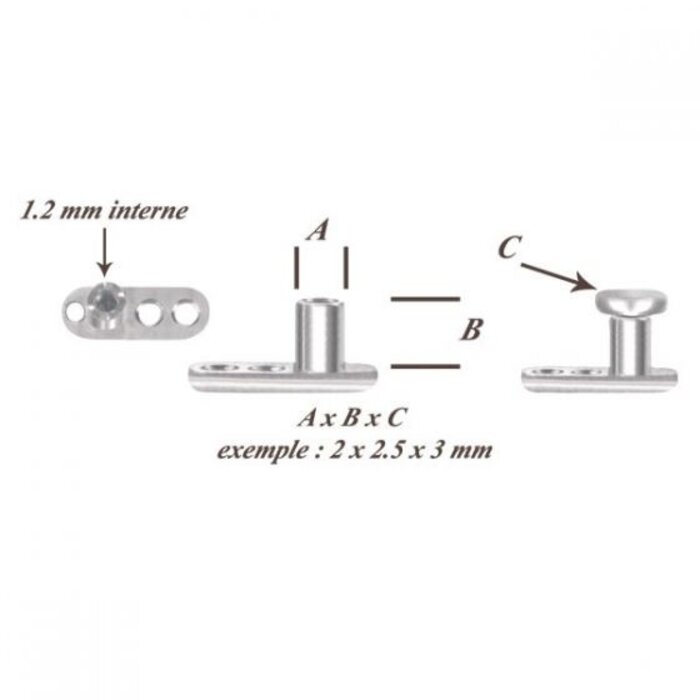 MICRO DERMAL TITANIUM