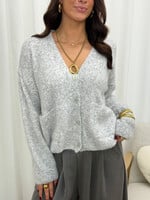 Vest Celine JS2107 Grijs