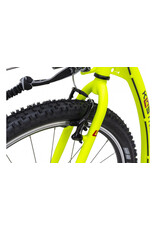 Kostka Kostka - Mushing Racer G6