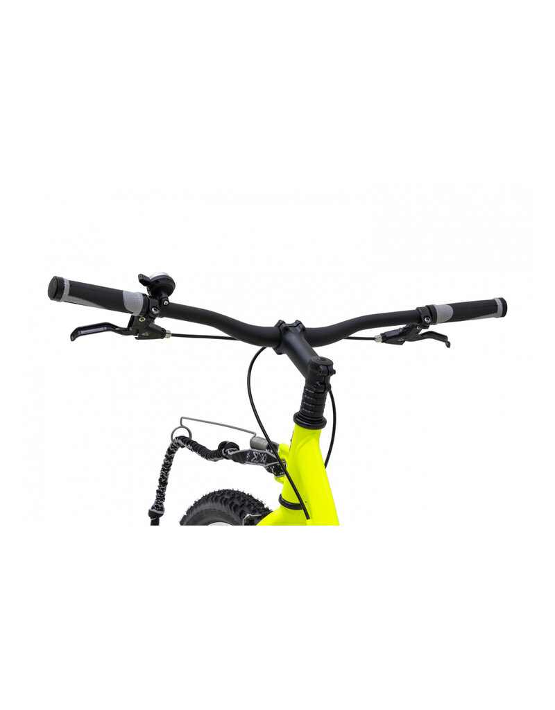 Kostka Kostka - Mushing Racer G6