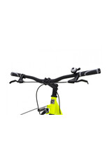 Kostka Kostka - Mushing Racer G6